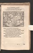 Seite 171
