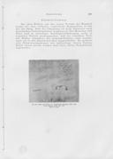 Seite 339