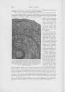 Seite 194